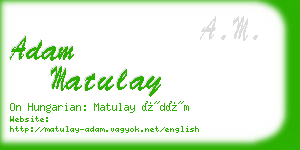 adam matulay business card